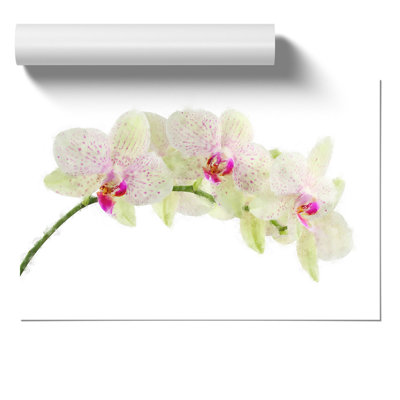 Orchid Flowers Painting - Frameless Print
