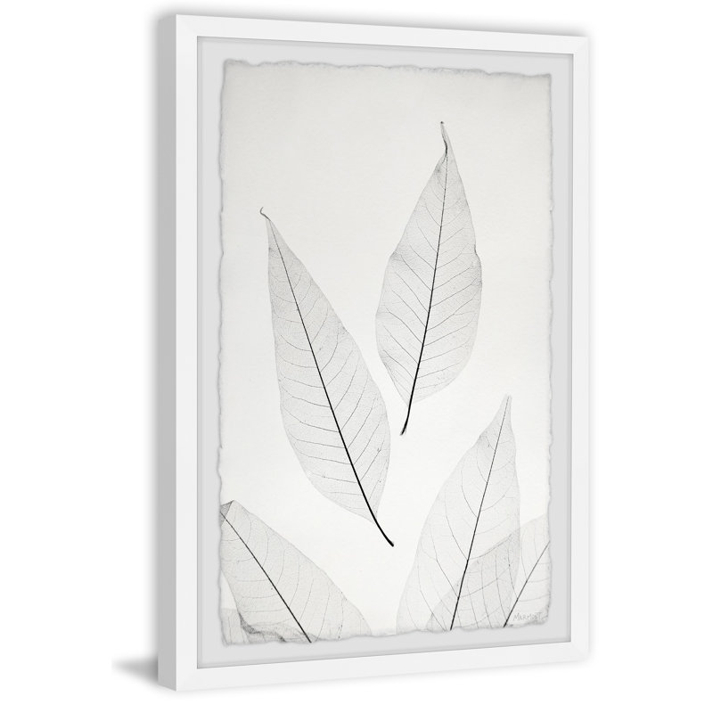 Pointing Leaves - Single Picture Frame Painting, 61cm H x 41cm W x 3.81cm D