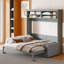 Grand lit escamotable mural avec canapé, gris-1758032611