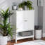Freestanding Bathroom Cabinet