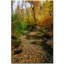 «Autumn Stream» par Cattima, reproduction de photo sur toile-34369786-34369788