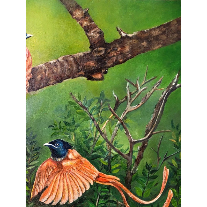 Paradise Flycatcher | Oil On Canvas | By Alka Sengar