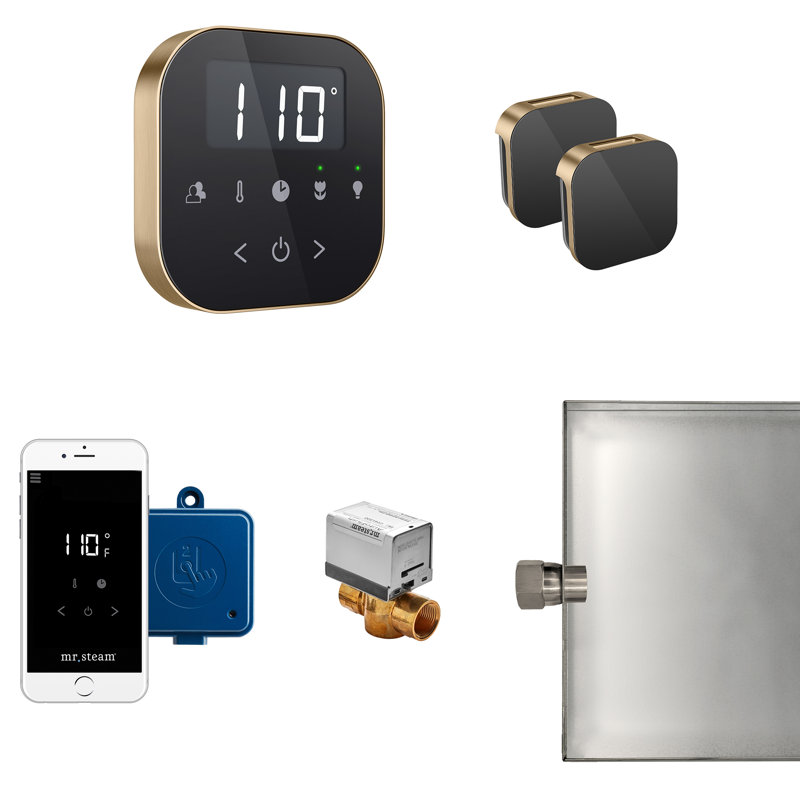 Ensemble de générateur de vapeur AirButler Max, Noir / bronze brossé