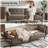 89" Velvet Convertible Sofa Couch, Futon Sofa Bed with 2 Square Pillows, Adjustable Backrest & Armrests for Living Room-1753197109