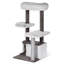 Condo dépolie 43" kitty power pattes Hearns