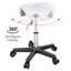 Adjustable Height Lab Stool Wheels-1002278166