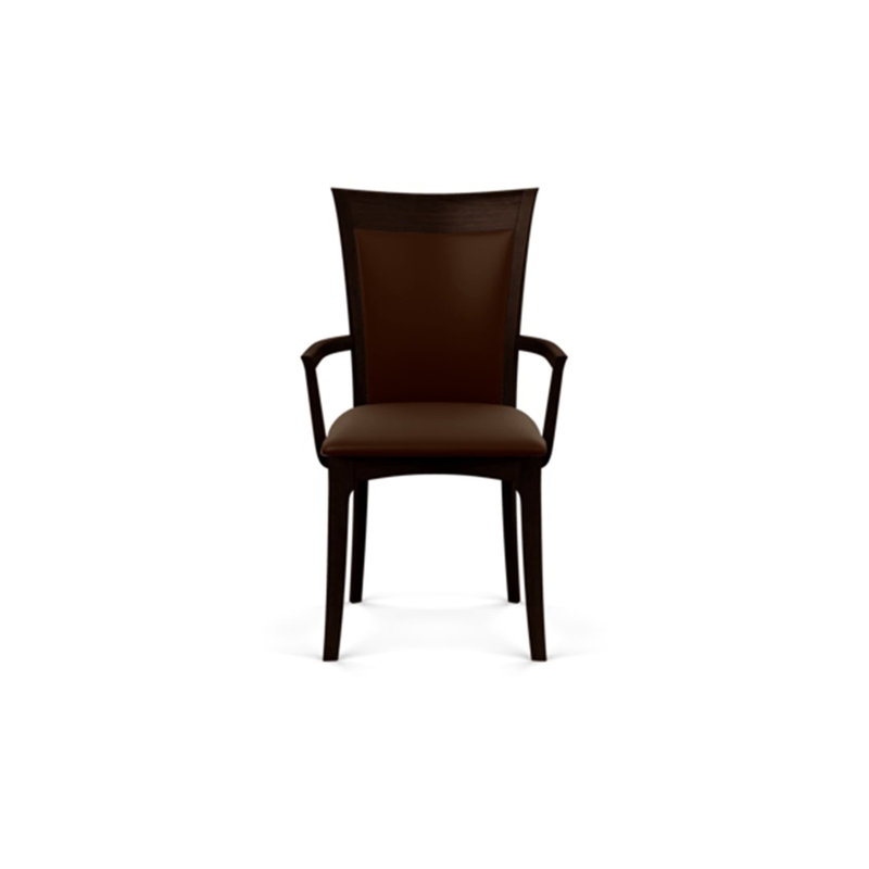 Morgan 19.25'' H Upholstered Armchair, Smoke Cherry, Coffee