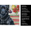 Torchon Schipperke-322069660