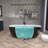 Biocura 65'' x 29.5'' Soaking Acrylic Bathtub-86595619