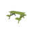 Lime tropicale