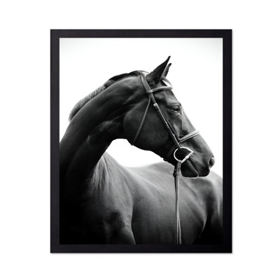 Portrait de cheval n ° 2