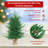 36' Pine Christmas Tree