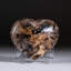 Polished Brown/Black Petrified Wood Heart From Madagascar (0.7716 Ibs)