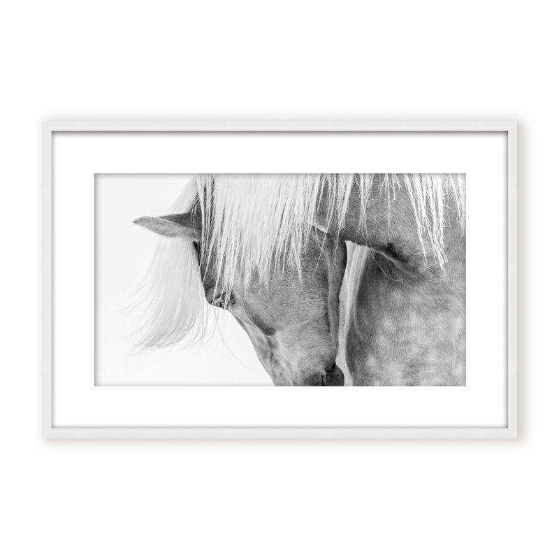 Nature Inspired Halflinger Portrait by  - Picture Frame Photograph on Paper, 24" H x 36" W x 1.125" D, Black