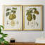 Vintage Pears III - ensemble de 2 impressions sur toile encadrées-175020762-175020763