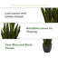 35'' Faux Foliage Plant in Planter
