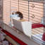 Rabbit Cage
