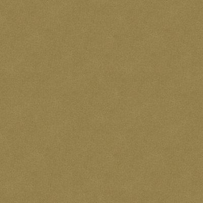 Velvet Fabric