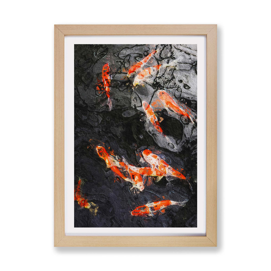 Carp & Koi Fish - Framed Print