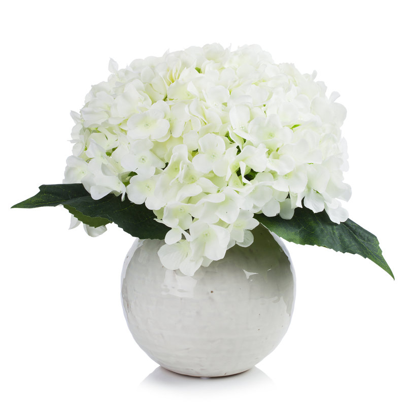 Arrangement floral d'hortensias en pot, Crème