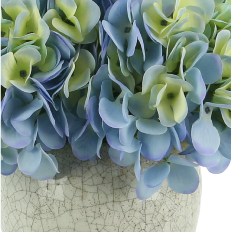Hydrangea In Rustic Pot, Blue/Green