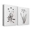 Inky Botanical I - ensemble de 2 peintures-1626744803-1626744807