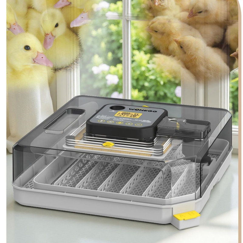 48 Incubateurs avec retournement automatique des œufs, contrôle de l'humidité et alimentation en eau avec affichage de la température, 360 ° Incubateur à volaille pour œufs de poule, de canard, de caille et de perroquet