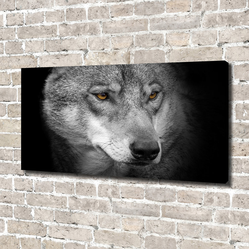 Wolf - Wrapped Canvas Print