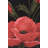 Cotton Blend Pillow Cover