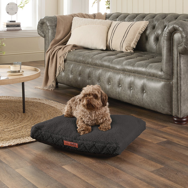 Slumberdown Paws for Slumber Machine Washable Cushioned Sherpa Pet Bed, Large (41-70 lbs), Black