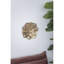 Plaque murale succulente D10x1,4 ", 2 pièces-1436026090