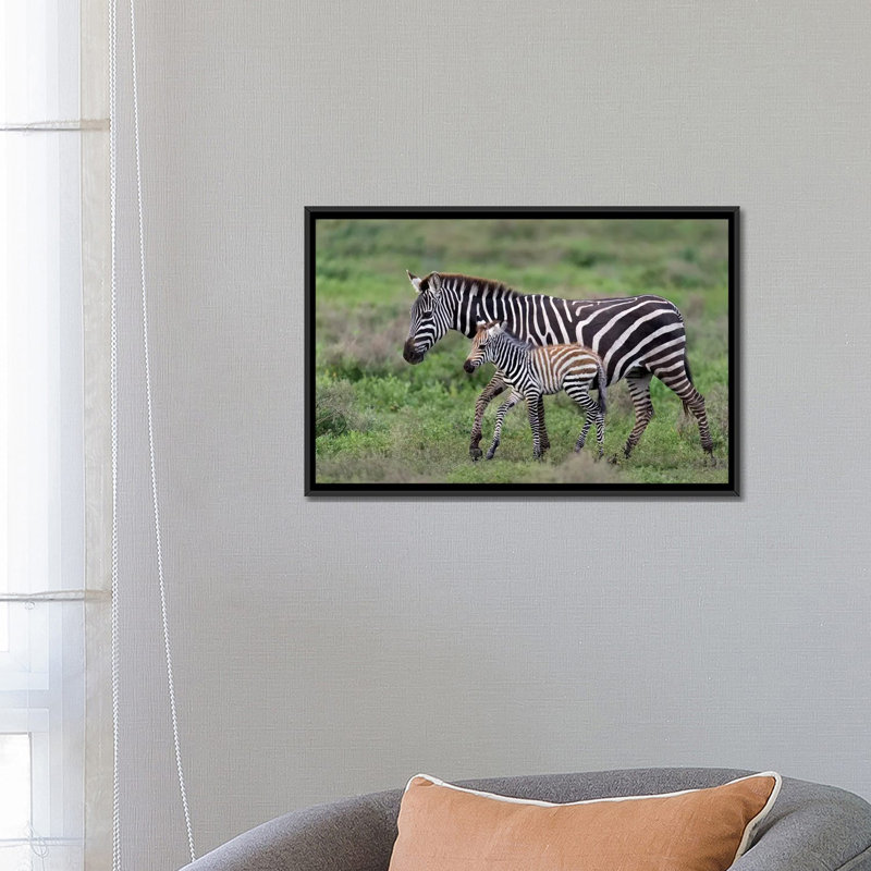 Reproduction de photo sur toile tendue, Burchell, H 18 po x l 26 po x P 1,5 po, Toile avec cadre noir, Pas de tapis