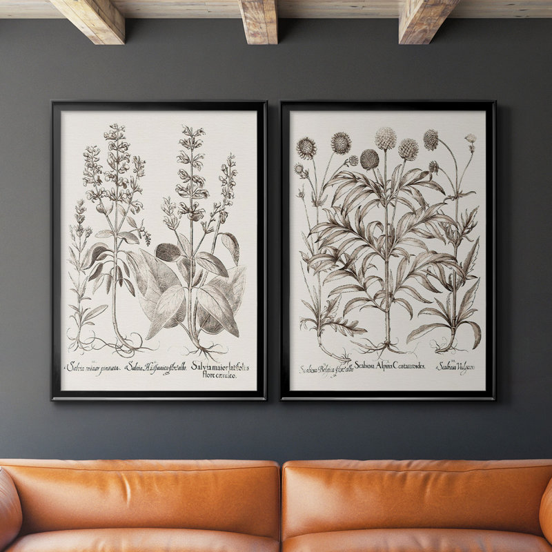 Sépia Besler Botanicals III - Ensemble de 2 reproductions de cadres photo sur toile, H 41,25 po x l 61 po x P 1,25 po, Noir