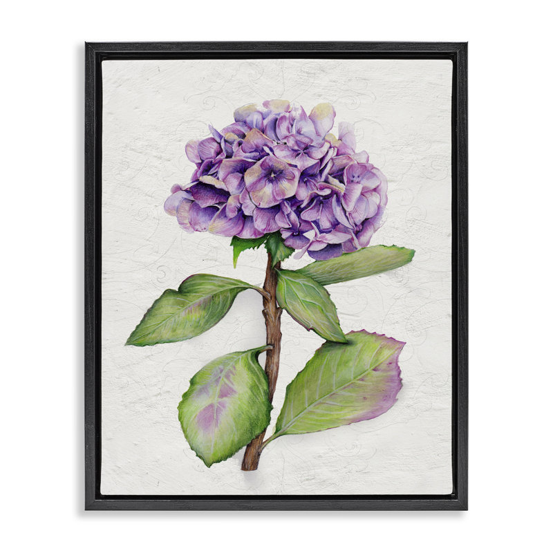 «European Style Hydrangea», art mural encadré sur toile flottante par Levison Design, Cadre flottant noir de jais