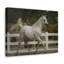 No Frame Print on Canvas-100038530
