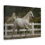 Wall Art on Canvas-100038528