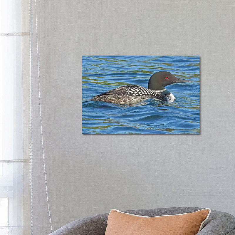 Common Loon by Brian Wolf - Wrapped Canvas Print, 66.04 cm H x 45.72 cm W x 1.91 cm D