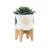 S/2 5/8" Funky Planter W/ Stand