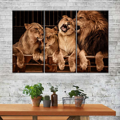 Pride of Lions - 3 pièces sur toile tendue