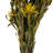 Preserved Arrangement
