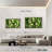 Yarlin Fresh Green Food-108176351