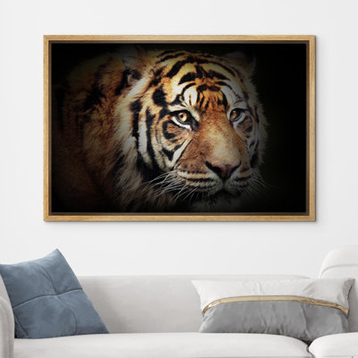 Animals " Bengal Tiger "