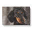 Portrait Of A Dachshund Dog - Wrapped Canvas-56629255