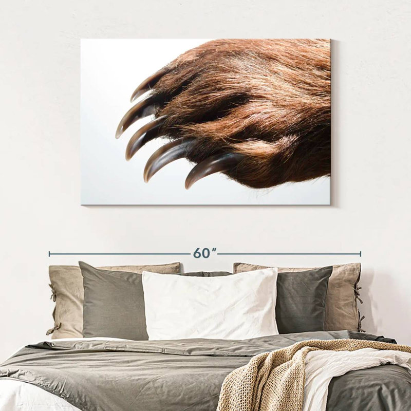 Brampt Brown Bear Claws, 32" H x 48" W