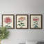 «Chrysanthemum Woodblock I», ensemble de 3 peintures sur toile encadrées-2042041060-2042041083