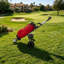 Chariot de golf léger à 3 roues pliable en aluminium avec porte-carte et porte-gobelet pour golf