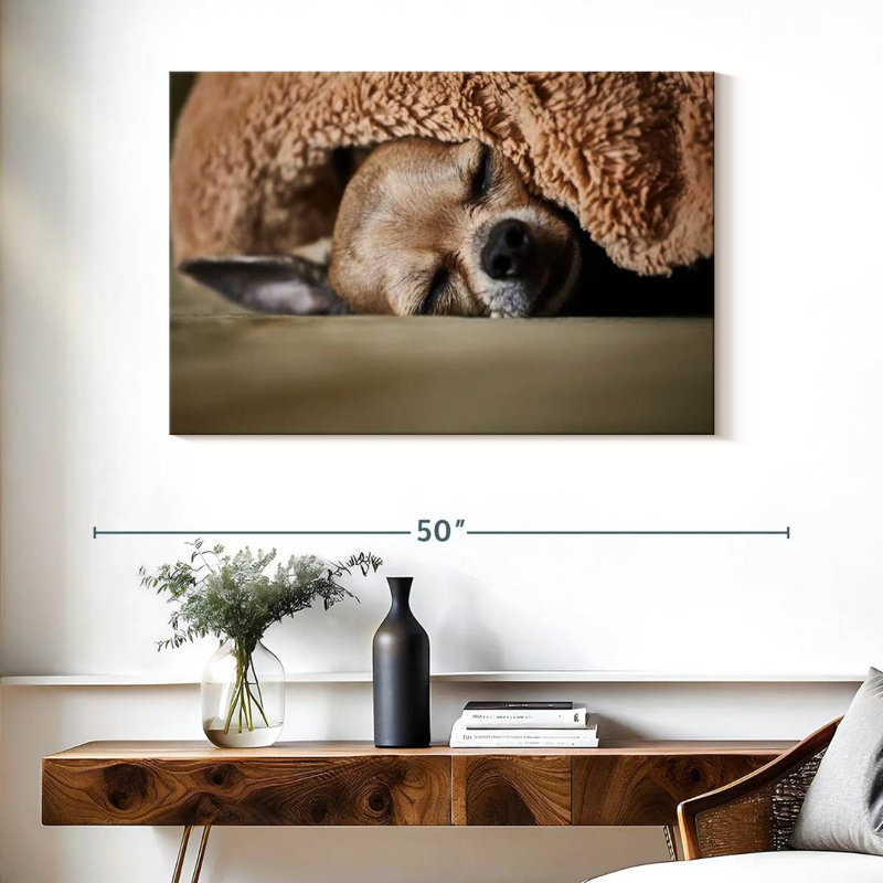 Brampt Sleeping Chihuahua, 26" H x 39" W