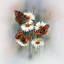 «Butterflies», impression sur toile-29479736-73647955-73647960