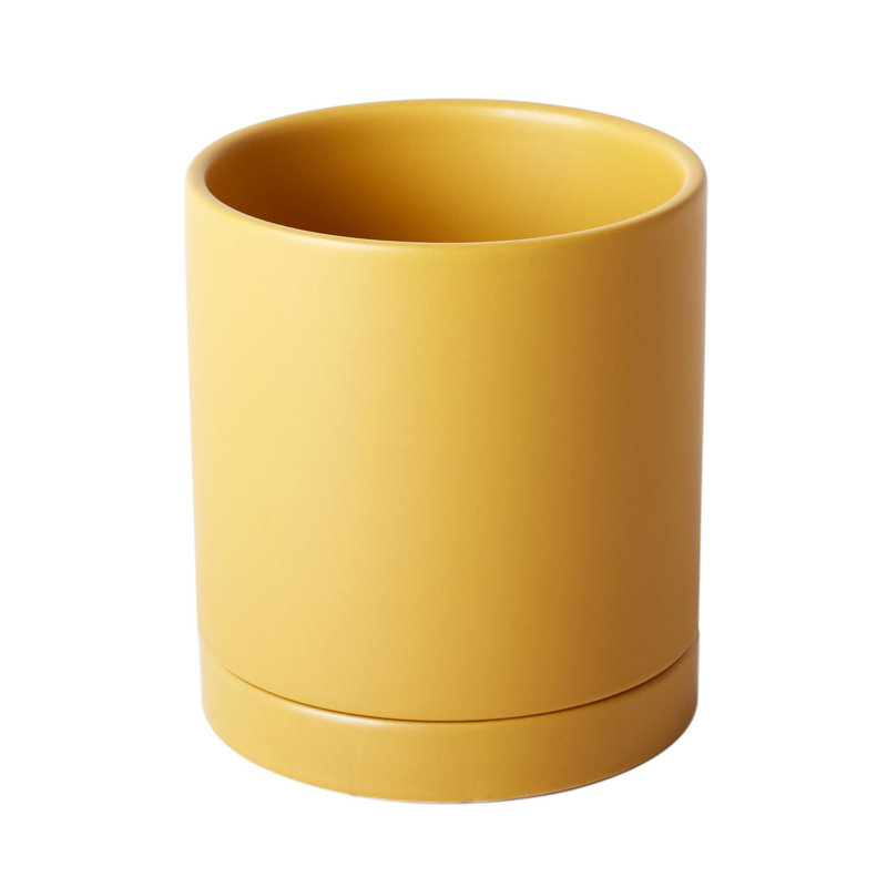 Jardinières en pot, Ocre, H 5,8 po x l 5 po x P 5 po