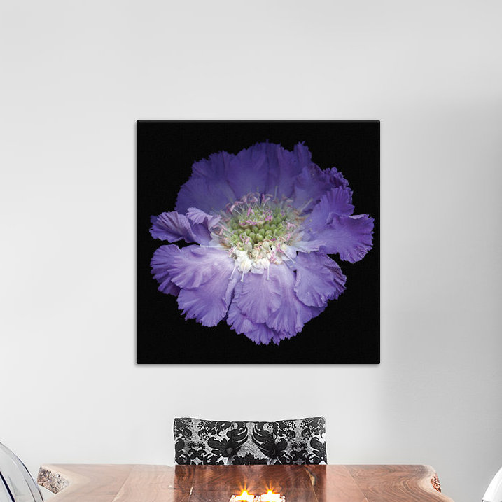 Reproduction de photo sur toile tendue, H 12 po x l 12 po x P 1,5 po, Toile tendue, Pas de tapis